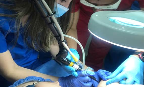 especializate en medicina estetica